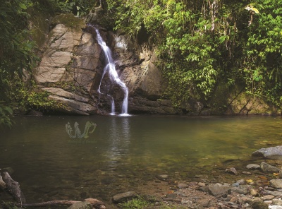 Castara Waterfall, Tobago